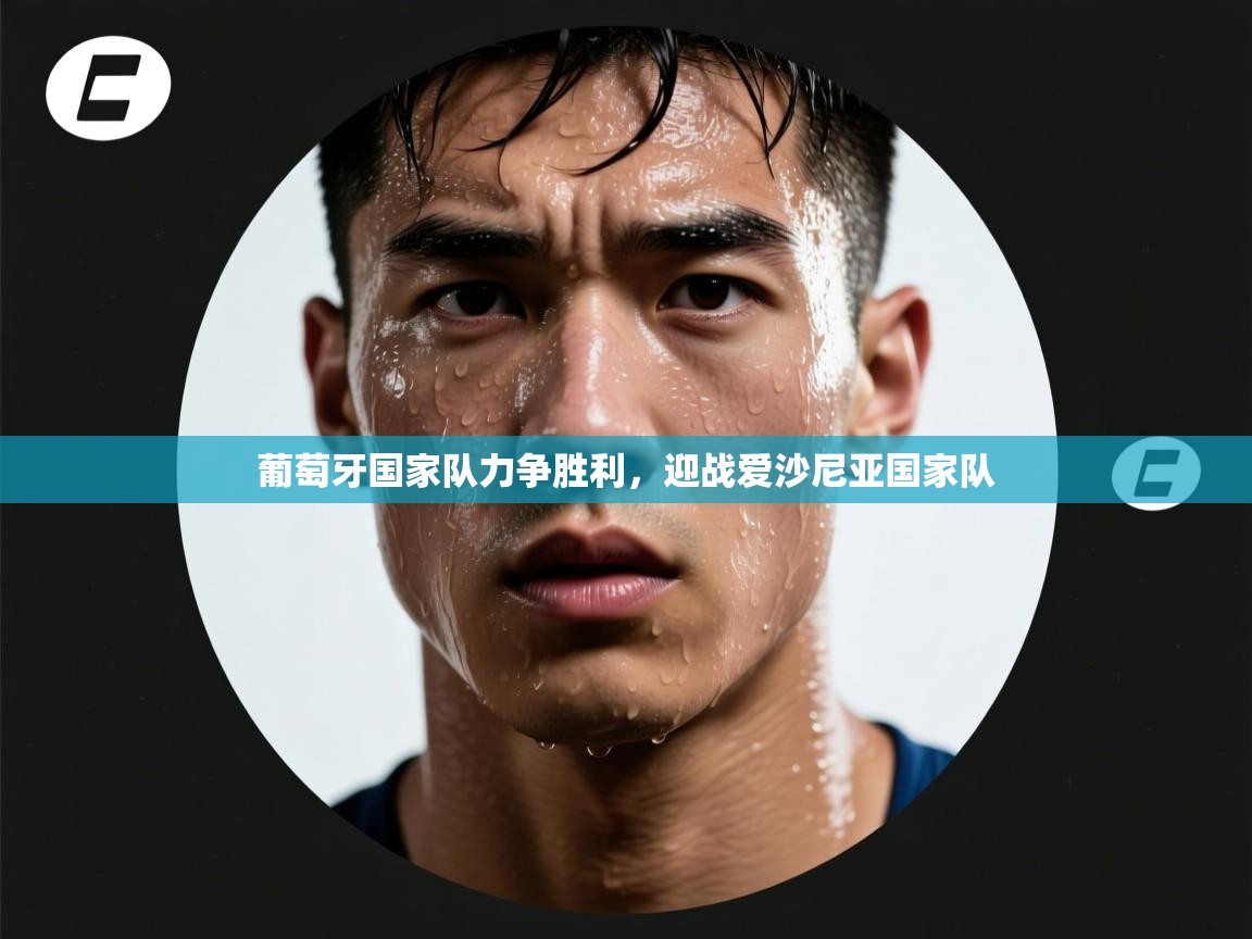 葡萄牙国家队力争胜利,迎战爱沙尼亚国家队 葡萄牙国家队力争胜利,迎战爱沙尼亚国家队