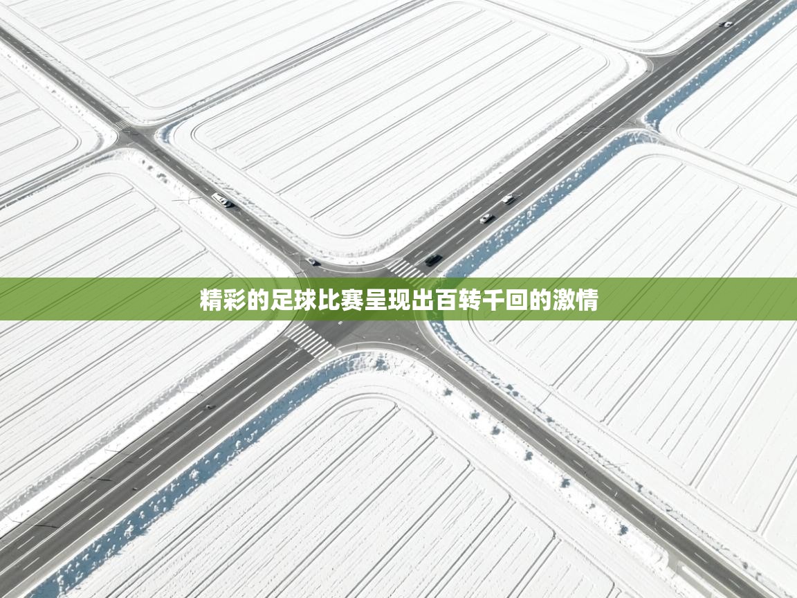 精彩的足球比赛呈现出百转千回的激情  第2张