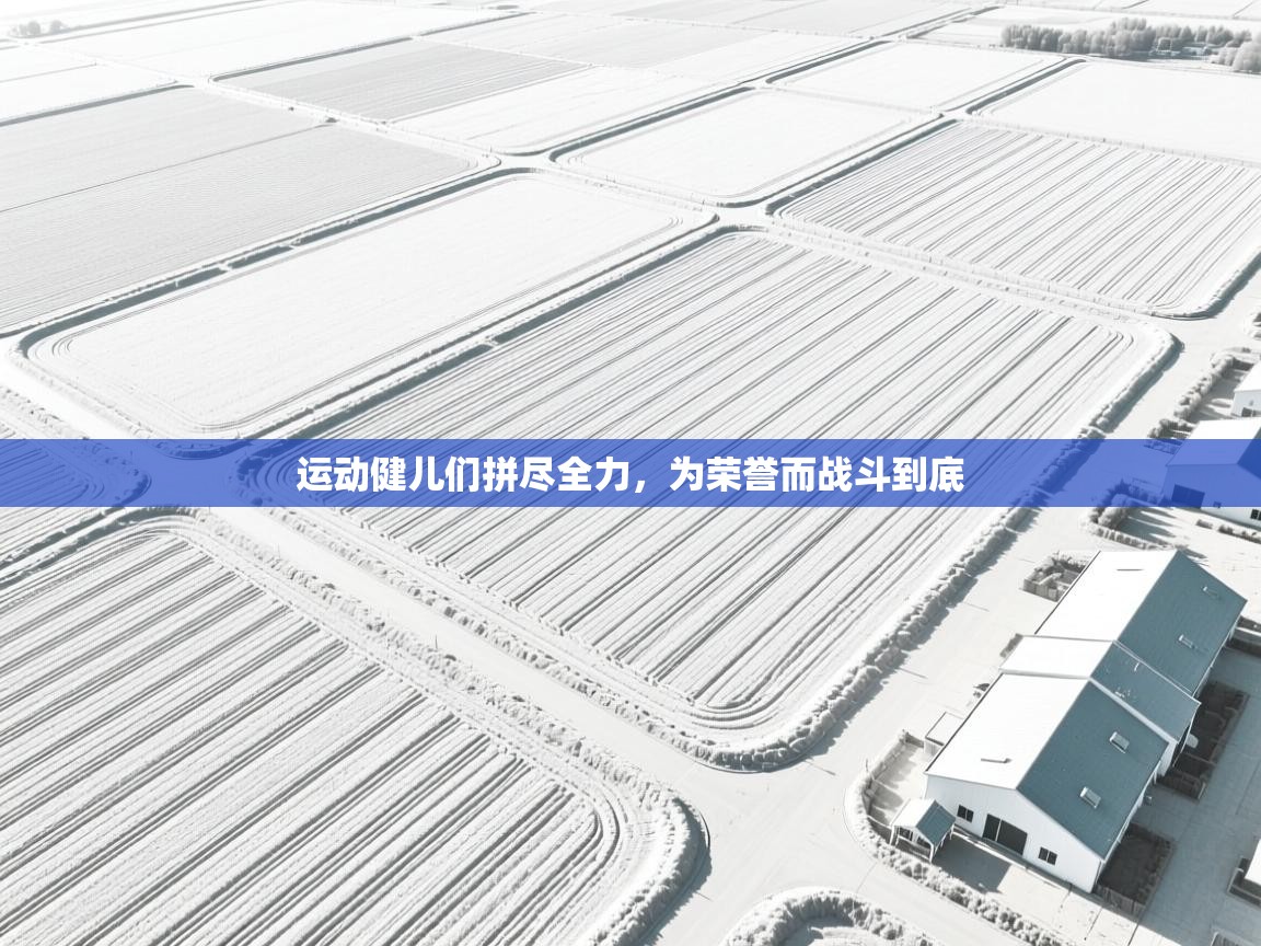 运动健儿们拼尽全力，为荣誉而战斗到底  第2张